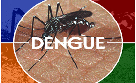 <!--:pt-->“Vacina contra a dengue não nos liberará do combate ao Aedes aegypti”, diz especialista em doenças infecciosas<!--:--><!--:en-->“Vacina cont