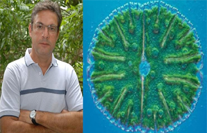 <!--:pt-->Além dos brasileiros, pesquisadores na Califórnia fazem experimentos para desenvolver vacina contra malária<!--:--><!--:en-->As well as Braz