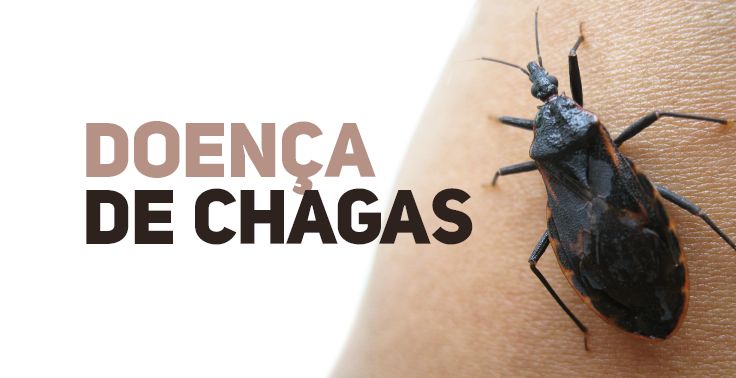 Brasil realiza mobilizações pelo Dia Mundial da Doença de Chagas 2022