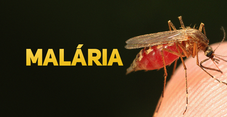 WHO report: Africa leads global increase in malaria cases
